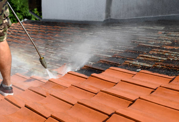 Best Deck Pressure Washing  in Marienville, PA