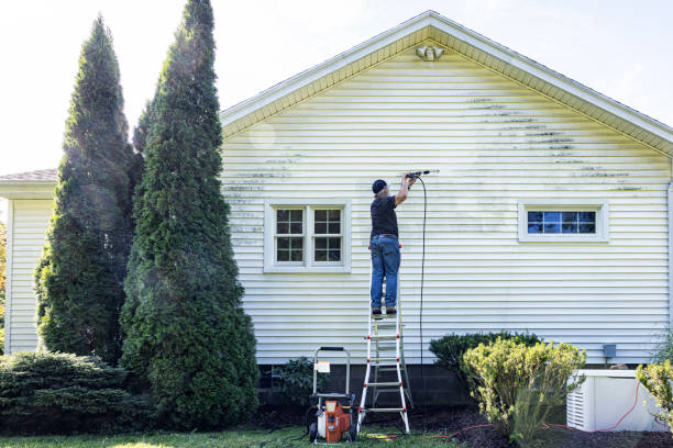 Best Residential Pressure Washing Services  in Marienville, PA