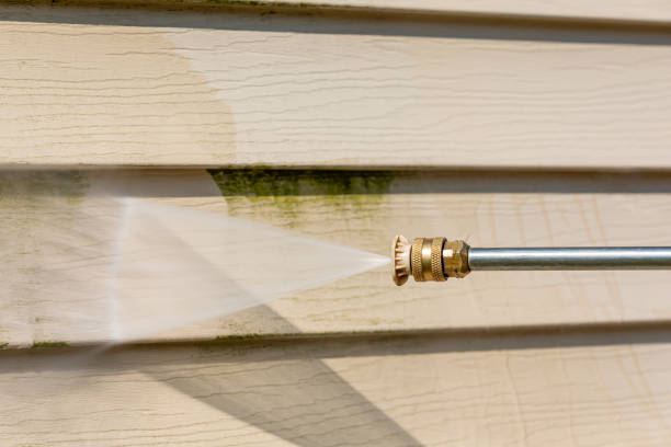 Best Local Pressure Washing Services  in Marienville, PA