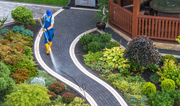 Best Commercial Building Pressure Washing  in Marienville, PA
