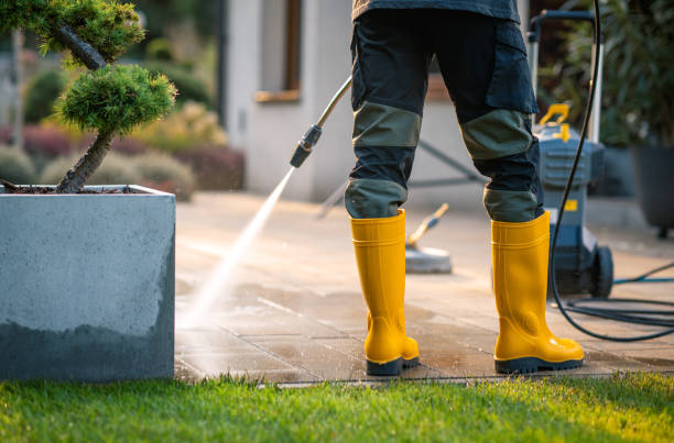 Best Exterior Home Cleaning  in Marienville, PA